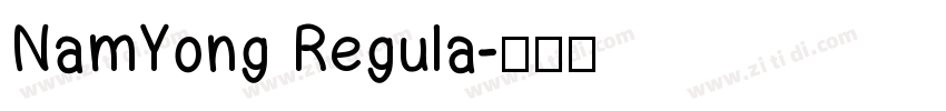 NamYong Regula字体转换